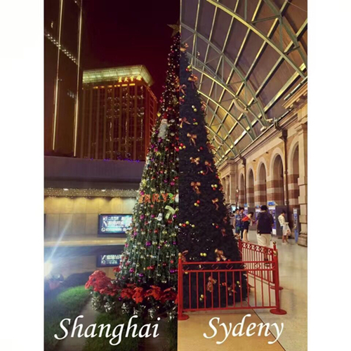 QQ图片20160809082945.jpg