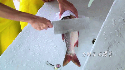 5.gif