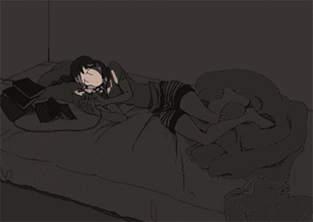 1.gif