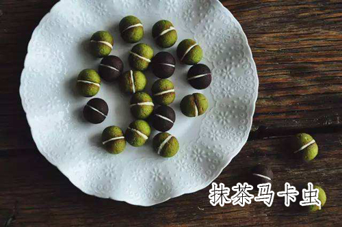 抹茶马卡虫.jpg
