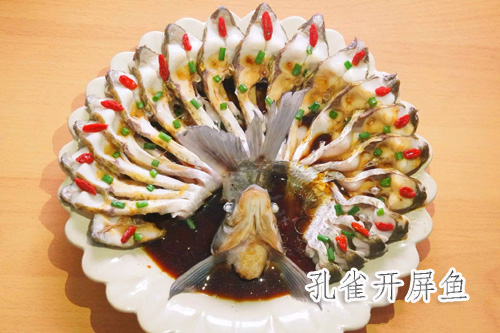 孔雀开屏鱼.jpg