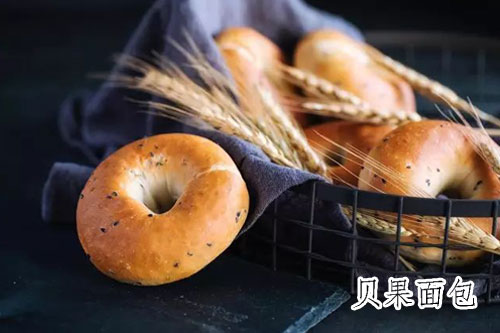 贝果面包500.jpg