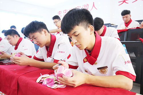 V13A1514 500.jpg